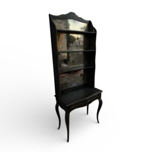 Mirrored Back Bookshelf