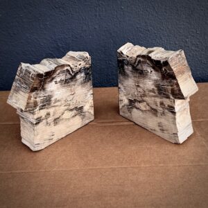 Pair Of Petrified Wood Bookends