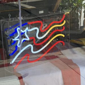 Candice Gawne Neon American Flag