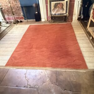 Modern Rust Colored Throw Rug